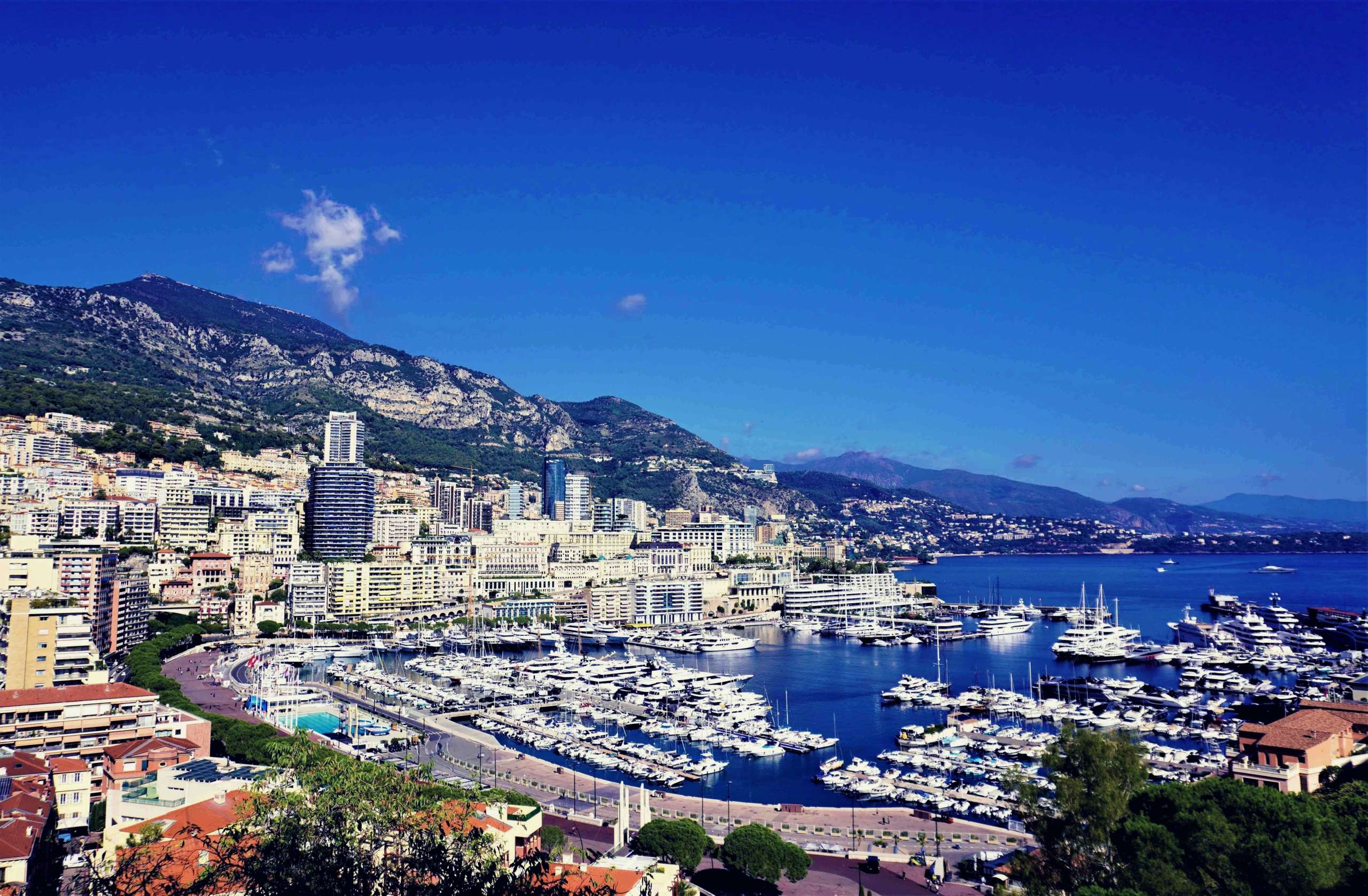 Monaco Shipping Services – Specialized reefer brokers for perishables